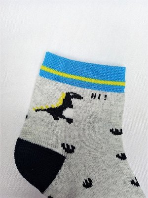 Носки для мальчика 7302, кулирка, ДИНО Д-121/6