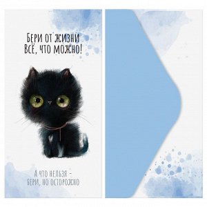 Конверт для денег MESHU ""Cute kittens"" 85*164мм, матовая ламинация, 5 дизайнов