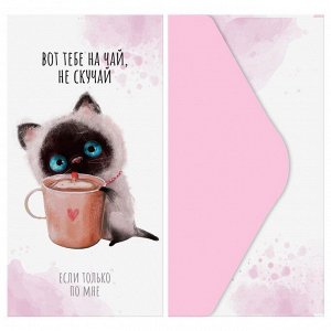 Конверт для денег MESHU ""Cute kittens"" 85*164мм, матовая ламинация, 5 дизайнов