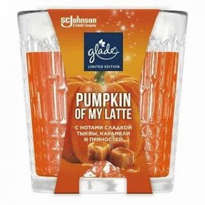 Ароматическая свеча "Pumpkin of My Latte", 130 г