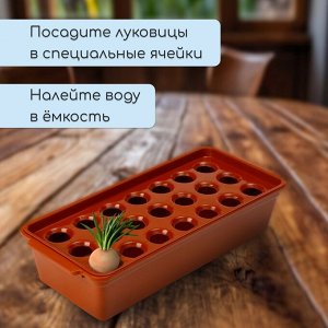 Ящик для выращивания зелёного лука, 40 × 19 × 10 см, 21 лунка, пластик