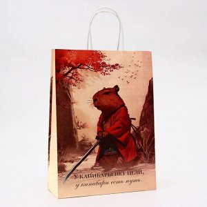 Пакет подарочный бумажный, «Самурай», 24x10.5x32 см