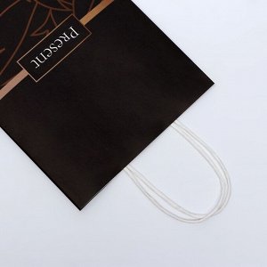 Пакет подарочный крафтовый Present 18x8x25 см, 120 г/м²