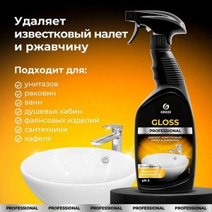 Средство чистящее для сан.узлов Gloss Professional 600мл