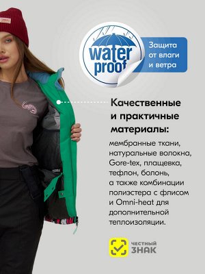 Горнолыжный костюм женский зимний черного цвета 002_1Ch