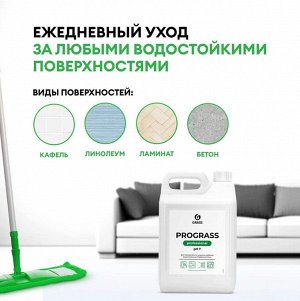 Очиститель универсальный низкопенный PROGRASS 5кг