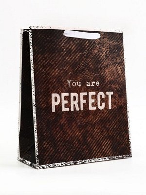 Пакет подарочный вертикальный YOU are PERFECT, 26x32x12 см