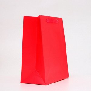 Пакет подарочный ламинированный «Фуксия», ML 23x27x11.5 см