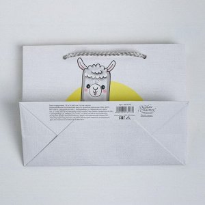 Пакет подарочный, упаковка, «Веселье», 19.5 х 14.5 х 8.5 см