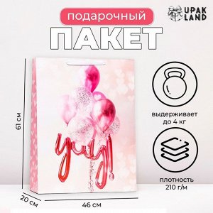 Пакет ламинированный вертикальный Happy Birthday, XXL 46x61x20 см