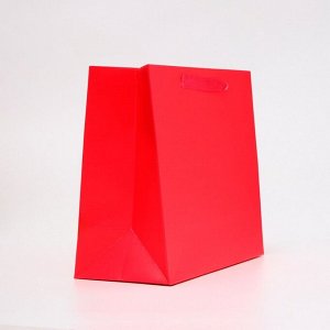 Пакет ламинированный горизонтальный «Фуксия», ML 27x23x11.5 см