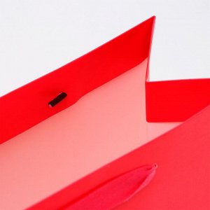 Пакет ламинированный горизонтальный «Фуксия», ML 27x23x11.5 см