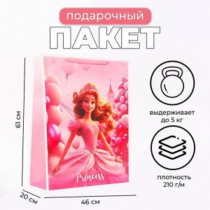 Пакет ламинированный Princess, XXL 46x61x20 см