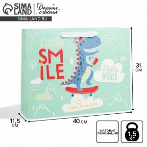 Пакет подарочный ламинированный, упаковка, «Smile», L 40 х 31 х 11.5 см