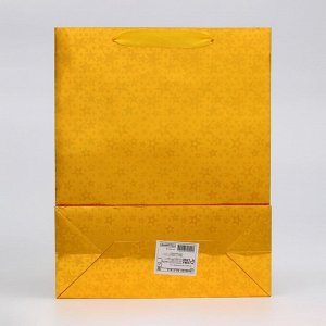 Пакет голография с окном, «Золотой», M 32x25.5x11 см набор 1 шт.