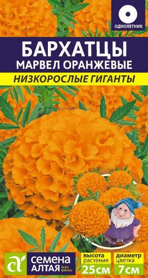 Цветы Бархатцы Марвел оранжевые/Сем Алт/цп 5 шт. Низкорослые гиганты