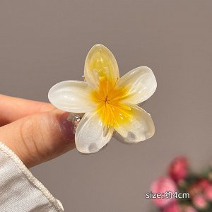 Крабик для волос, 4 см.