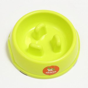 Миска пластиковая медленное кормление18 х 18,5 х 5,5 см, зелёная 7533286