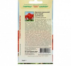 Цикламен "Красный партизан", персидский, 3 шт