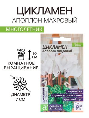 Семена цветов Цикламен "Аполлон" комнатных, ц/п, 3 шт.