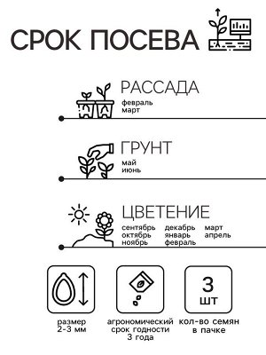 Семена цветов Цикламен "Аполлон" комнатных, ц/п, 3 шт.