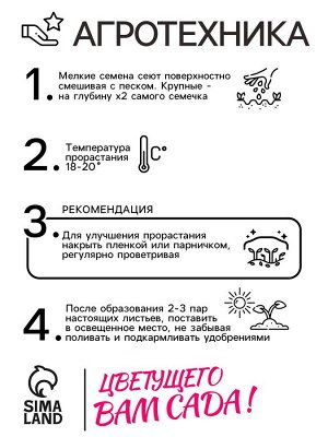 Семена цветов Цикламен "Аполлон" комнатных, ц/п, 3 шт.