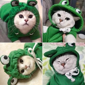 Костюм, комбинезон лягушка для собак