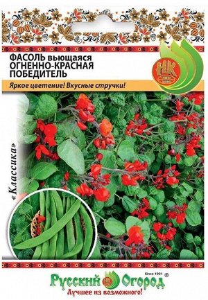 Фасоль огненно-красная Победитель 8гр (НК)