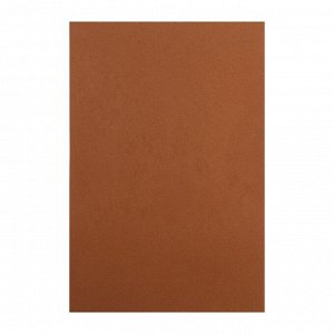Фоамиран 1 мм, 20х30 см (набор 10 листов) BK004 св. коричневый