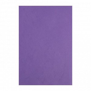 Фоамиран 1 мм, 20х30 см (набор 10 листов) BK023 фиолетовый