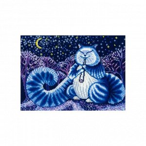 Набор для вышивания «Лунный кот»