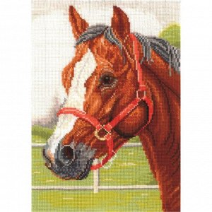 Набор для вышивания «Горячий конь»