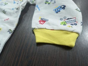 Футболка ясельная с начесом длинный рукав цвет Полоска (техника)