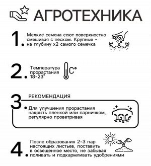 Семена Цветов Бархатцы Ред Черри, 0,2 г