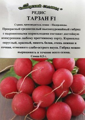 Редис Тарзан F1 ч/б (Код: 14819)