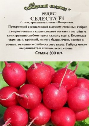 Редис Селеста ч/б (300 семян) (Код: 93342)