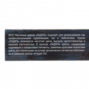 Набор художественных масляных красок «Ладога», 10 цветов, 46 мл, в тубах