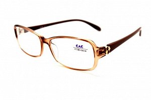 Готовые очки - EAE 2289 c2