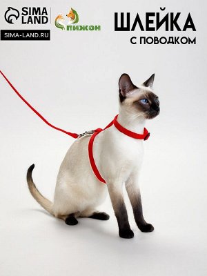 Комплект для кошек, ширина 1 см, ОШ 16,5-27 см, ОГ 21-35 см, поводок 120 см, красный
