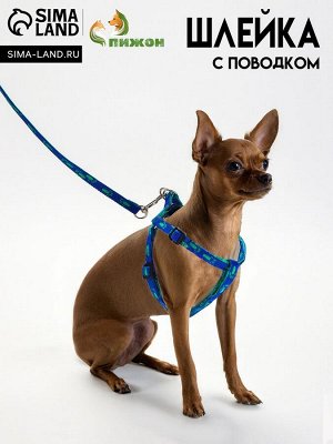 Комплект  "Большая лапа", ширина 1 см, поводок  120 см, шлейка 25-36 см, сине-зелёный
