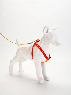 Комплект "Большая лапа", ширина 1,5 см, поводок 120 см, шлейка 28-42 см, оранжево-жёлтый