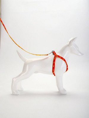 Комплект "Большая лапа", ширина 1,5 см, поводок 120 см, шлейка 28-42 см, оранжево-жёлтый
