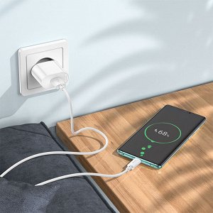 Сетевое зарядное устройство HOCO C109A Fighter 1xUSB, 3.0A, 18W, белый