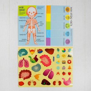 Развивающий набор для творчества "Увлекательная анатомия" + карандаши, пластилин