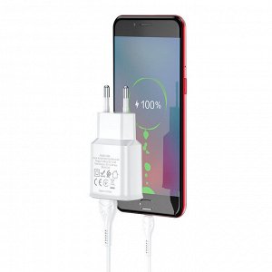 Комплект двухпортовых зарядных устройств C88A Xingyuan (Micro) (европейский стандарт)