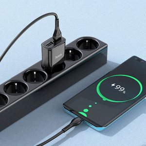 Сетевое зарядное устройство HOCO C88A Star 2xUSB с Кабелем USB - Type-C, 2.4A, 10.8W, черный