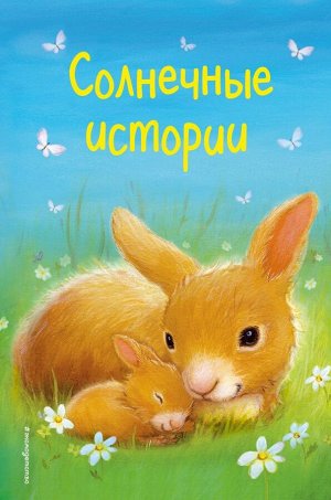 Холли Вебб и др. Солнечные истории (выпуск 3)