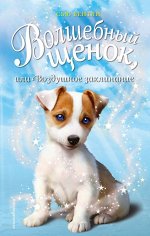 Бентли С. Волшебный щенок, или Воздушное заклинание (выпуск 4)