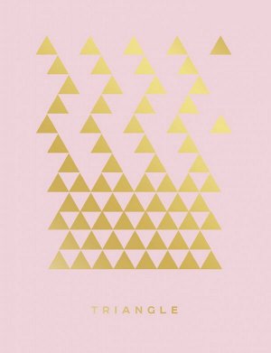 Triangle (розовый). Тетрадь общая (А5, 48 л., зол. фольга, накидка 4 п. полноцвет)