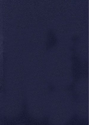 LARMINI Колготки полиамид LR-TP-000001, цвет темно-синий